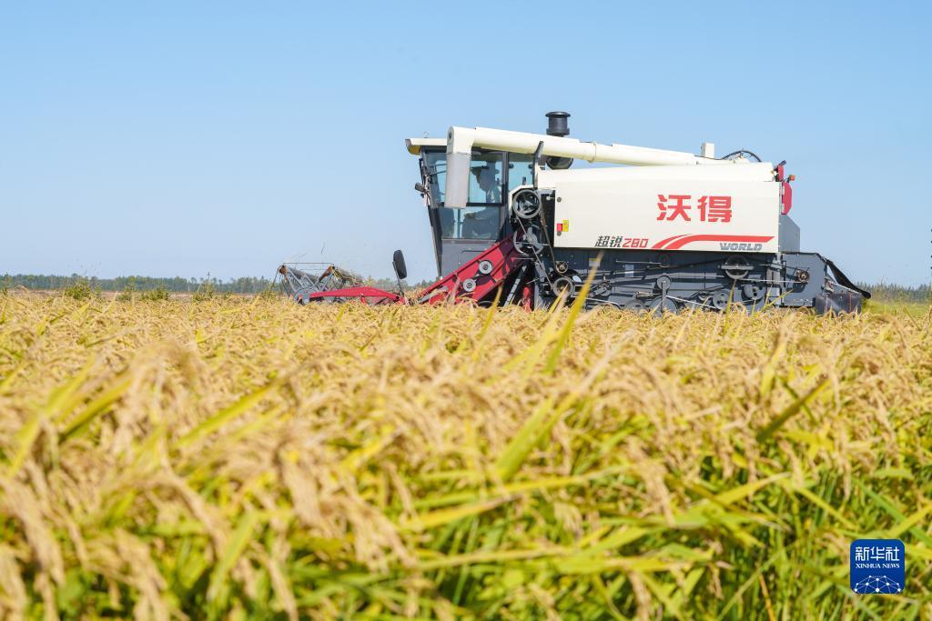捕鱼大奖赛正版下载